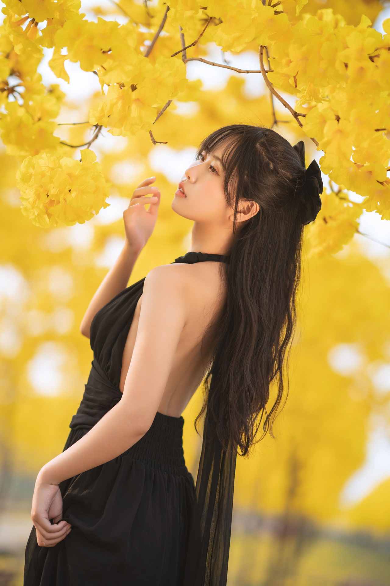 NO.025萌芽儿o0秋有银杏春有黄风铃共23P-可宝主